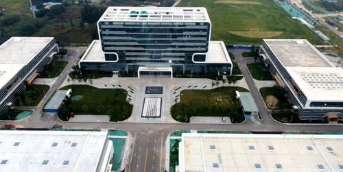 爭分奪秒趕工期 經(jīng)濟區(qū)重點項目建設(shè)火熱進行中